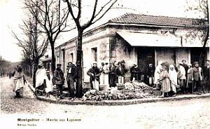 Montgolfier - Marche aux Legumes